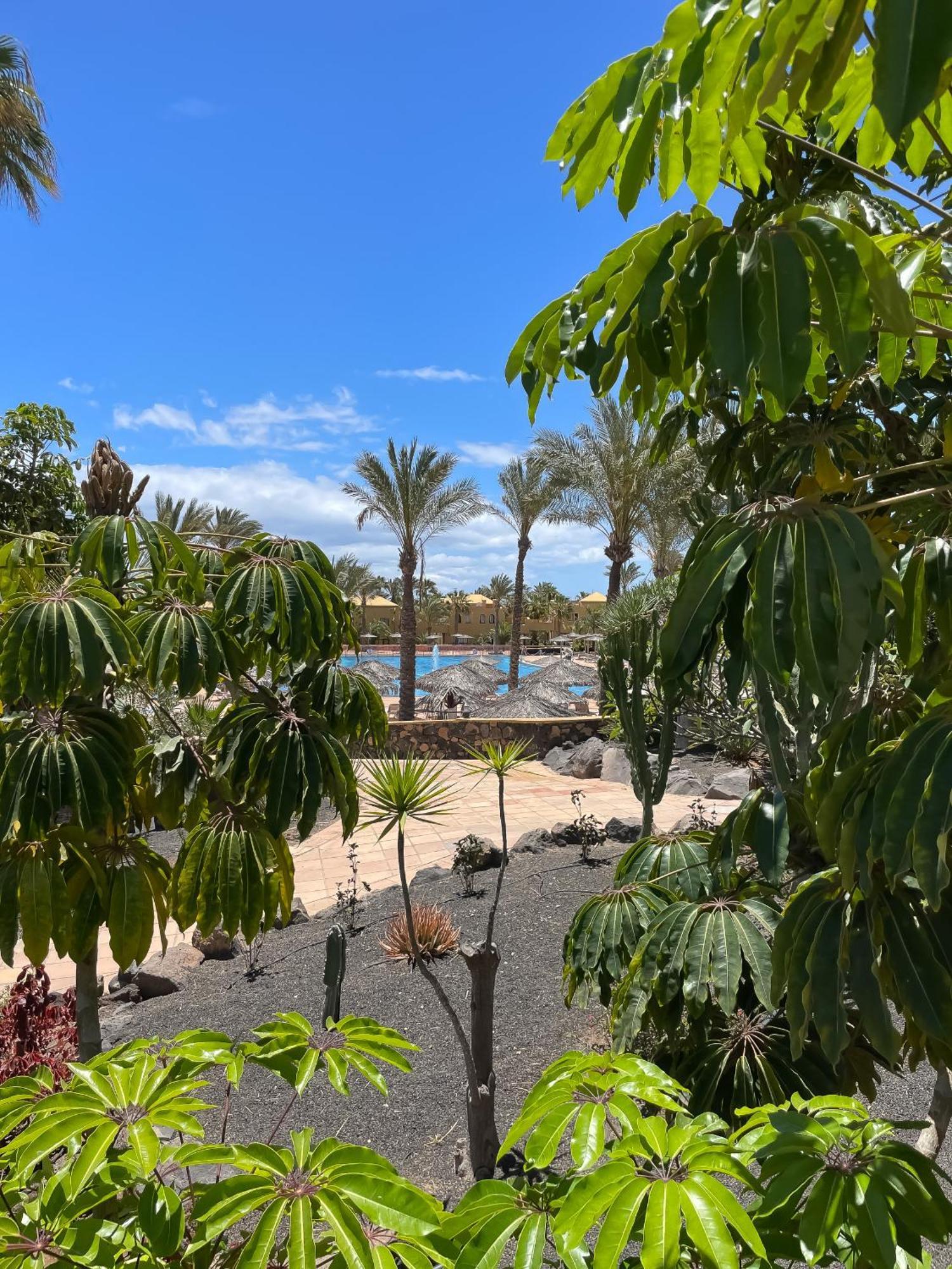 B-Rent Casa Angela Pool View Lejlighed Corralejo Eksteriør billede